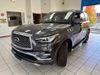 2019 Infiniti QX80 LUXE in Akron, OH 44320 2019 Infiniti QX80 LUXE in Akron, OH 44320
